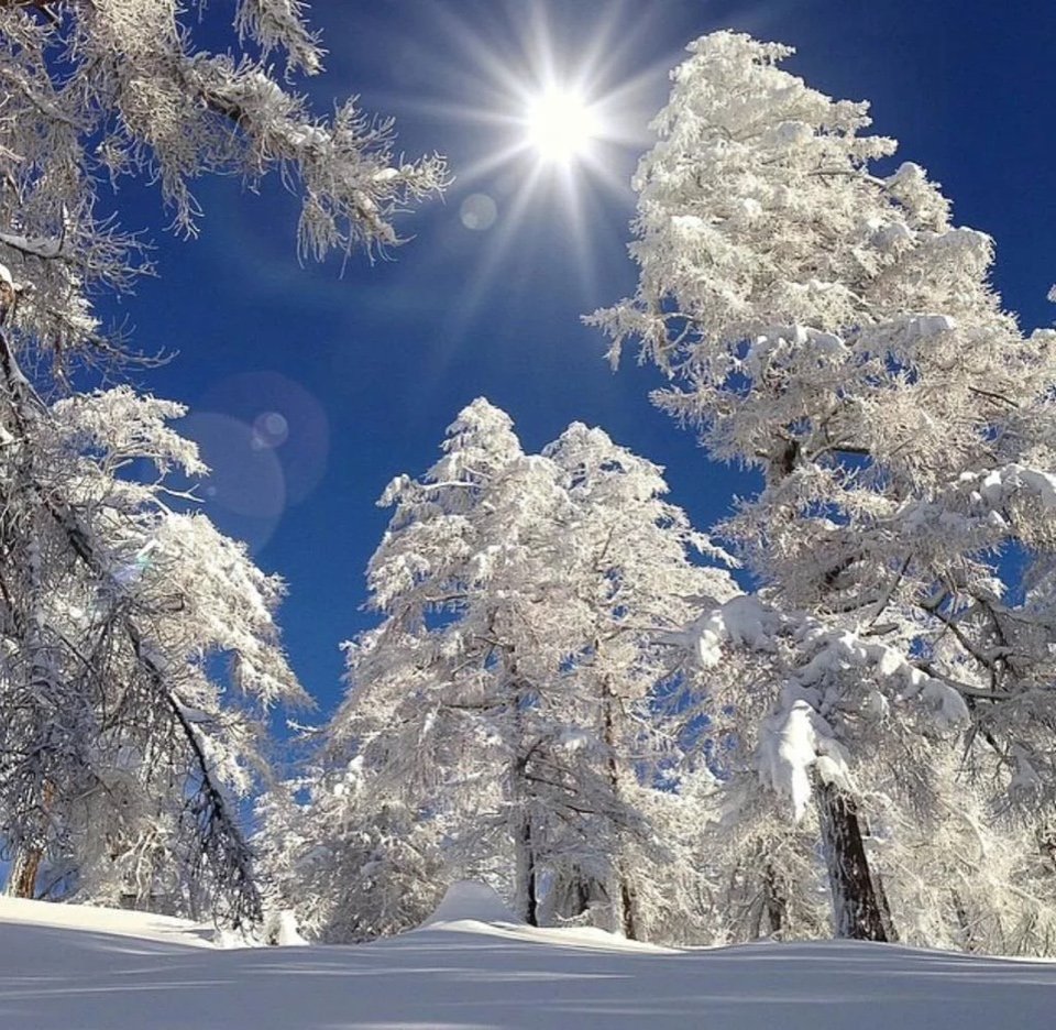 Зима Мороз и солнце