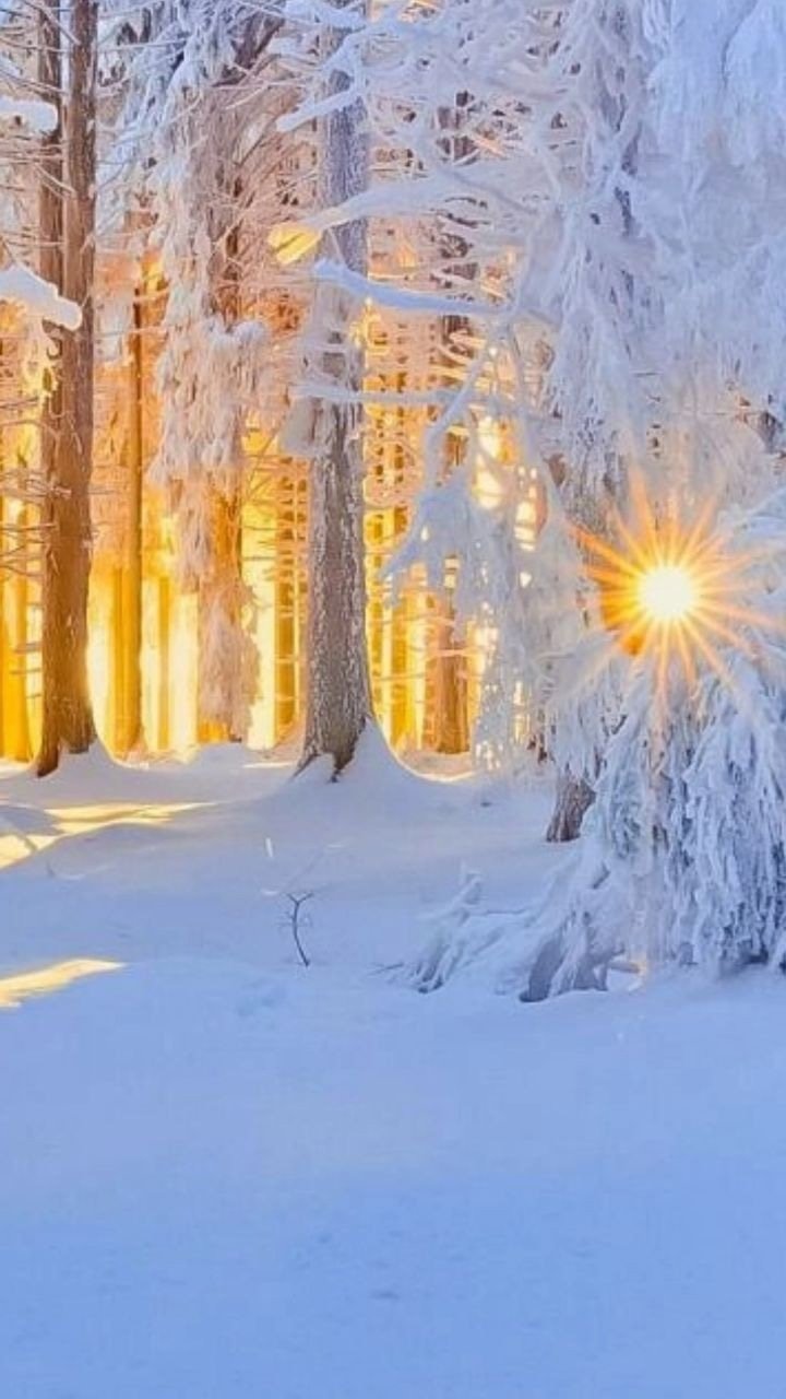 Художник Суханов Роман Борисович