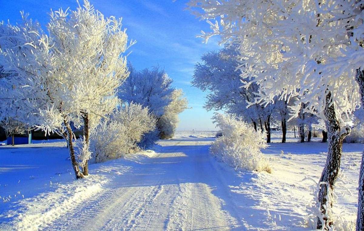 Мороз и солнце