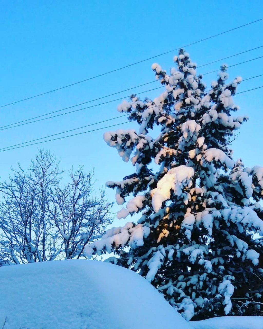 Мороз и солнце день чудесный