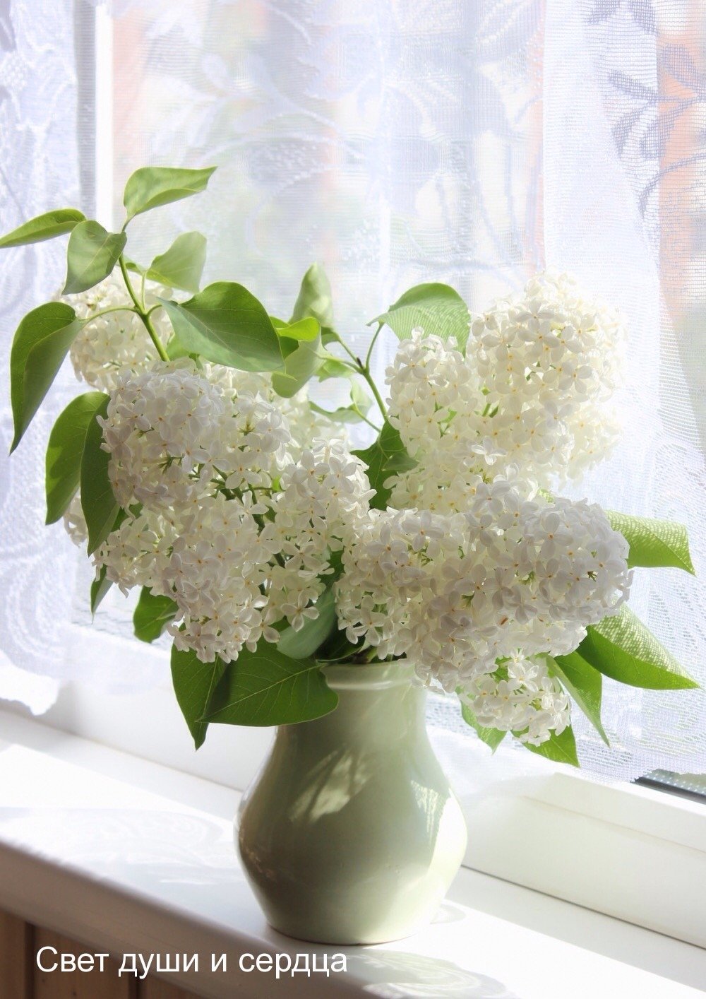 Весеннего майского утра