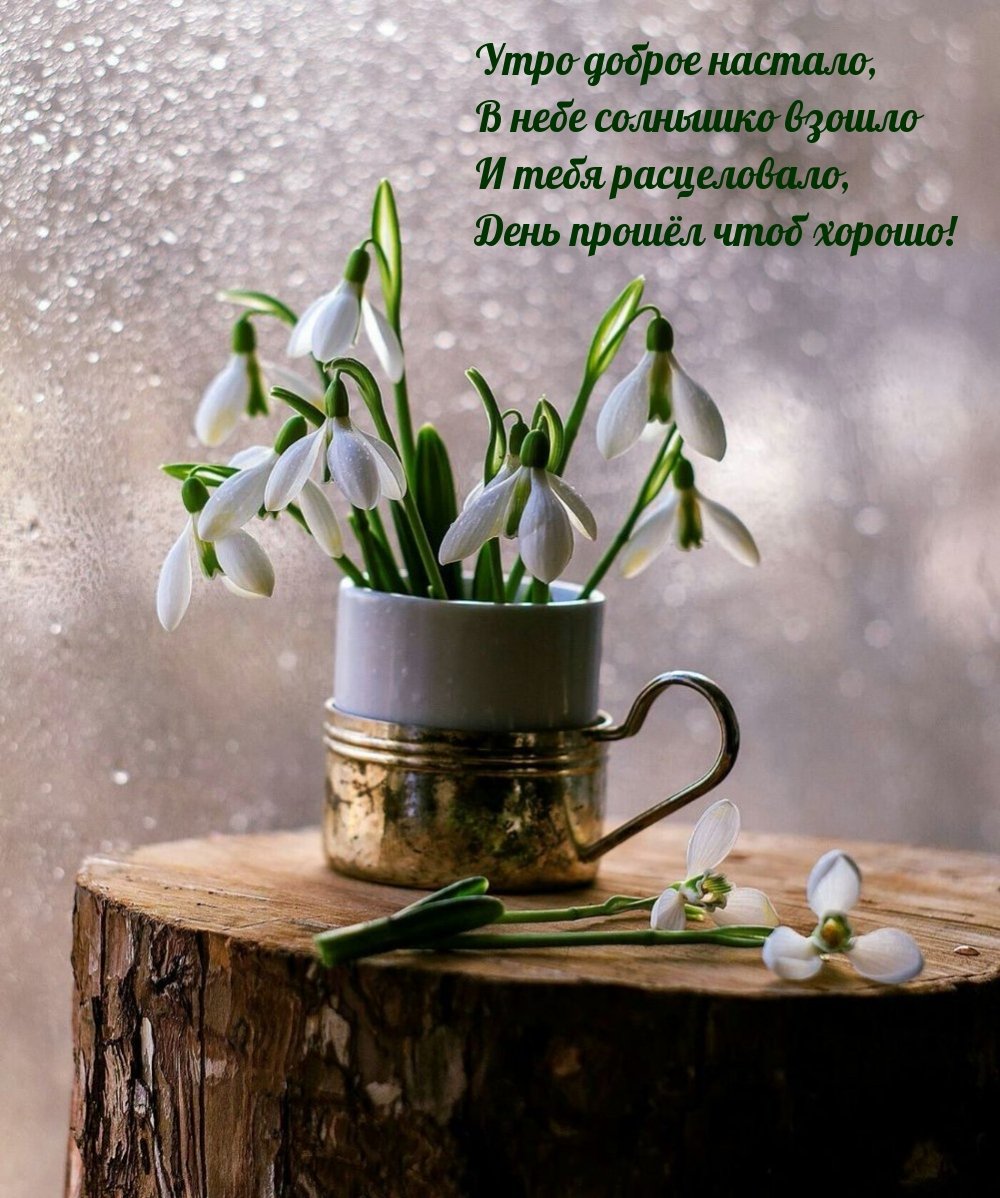 Доброе Весеннее утро