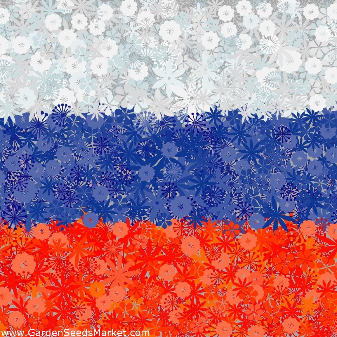 Знамя Триколор в России