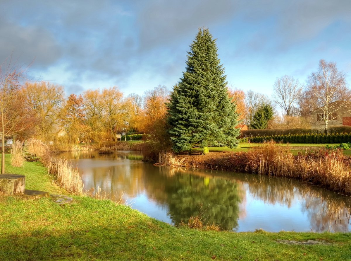 Пейзаж времена года