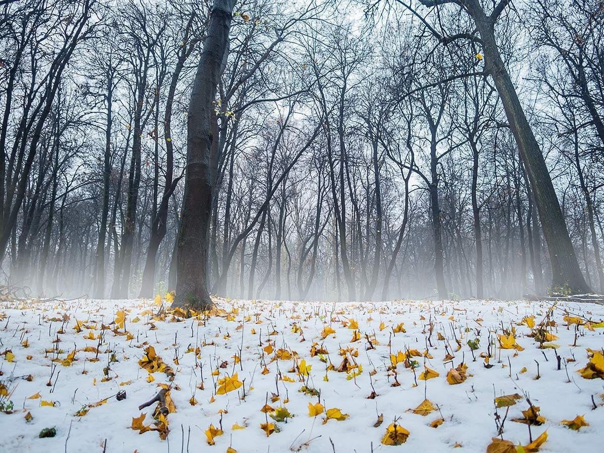 Весна и осень