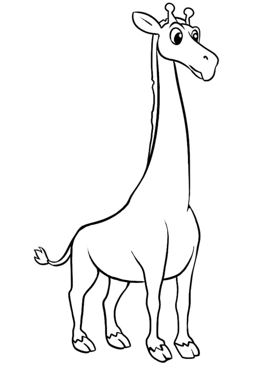 Жираф раскраска для детей
