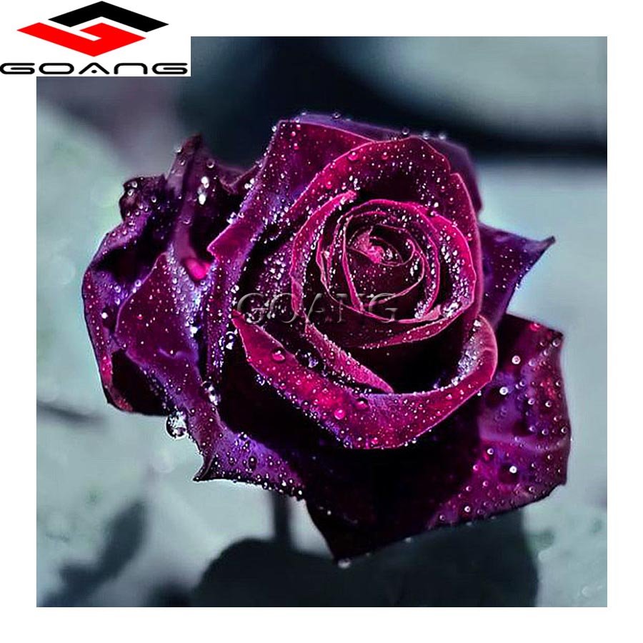 Темно фиолетовые розы