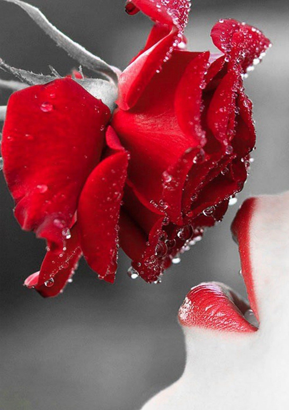 Красивые картинки