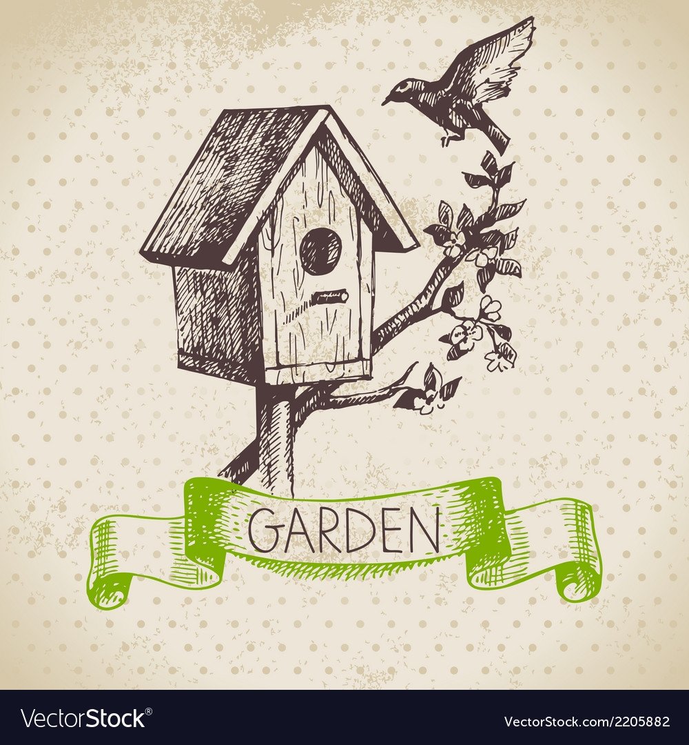 Скворечник на дереве в ДОУ