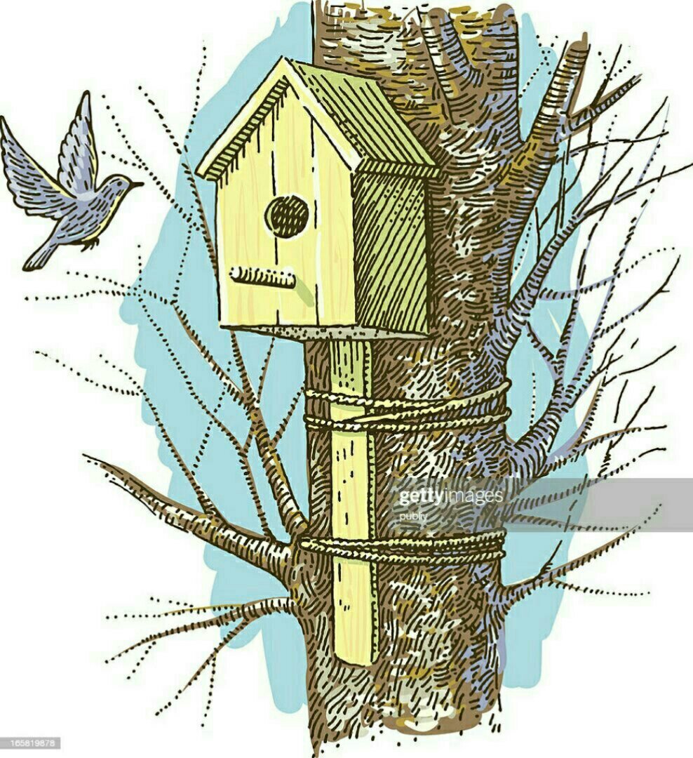 Скворечник с птичкой вектор