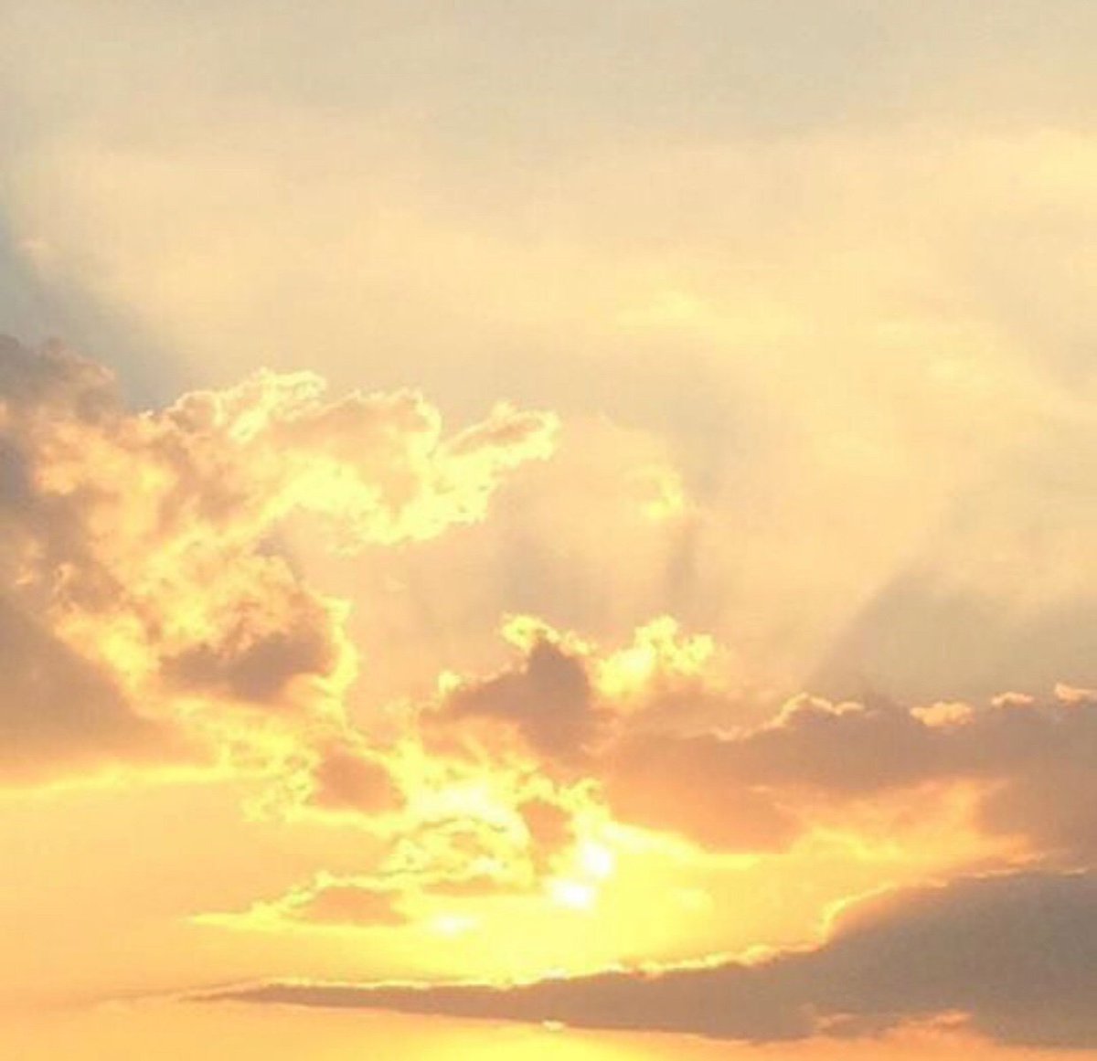 Эстетика нежно желтого