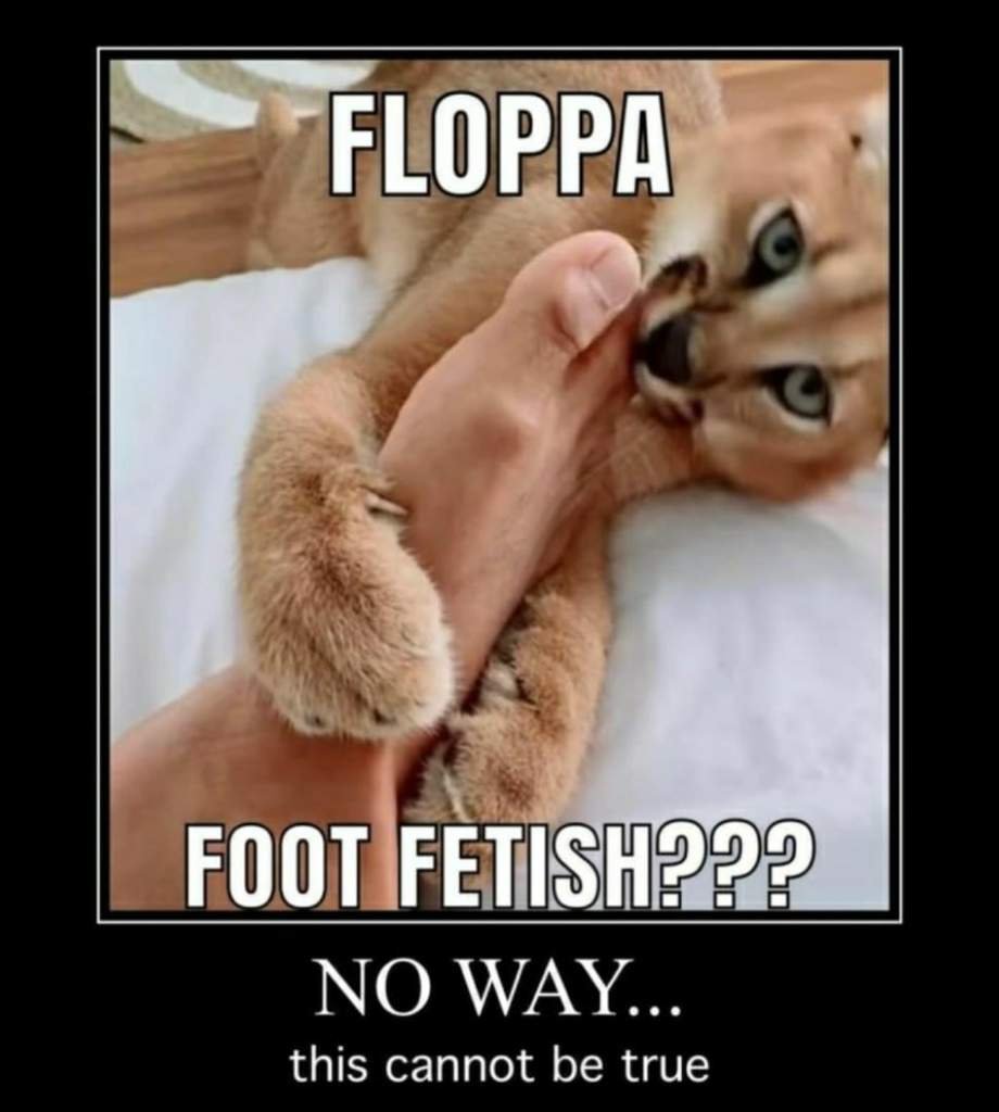 Шлепки по заду