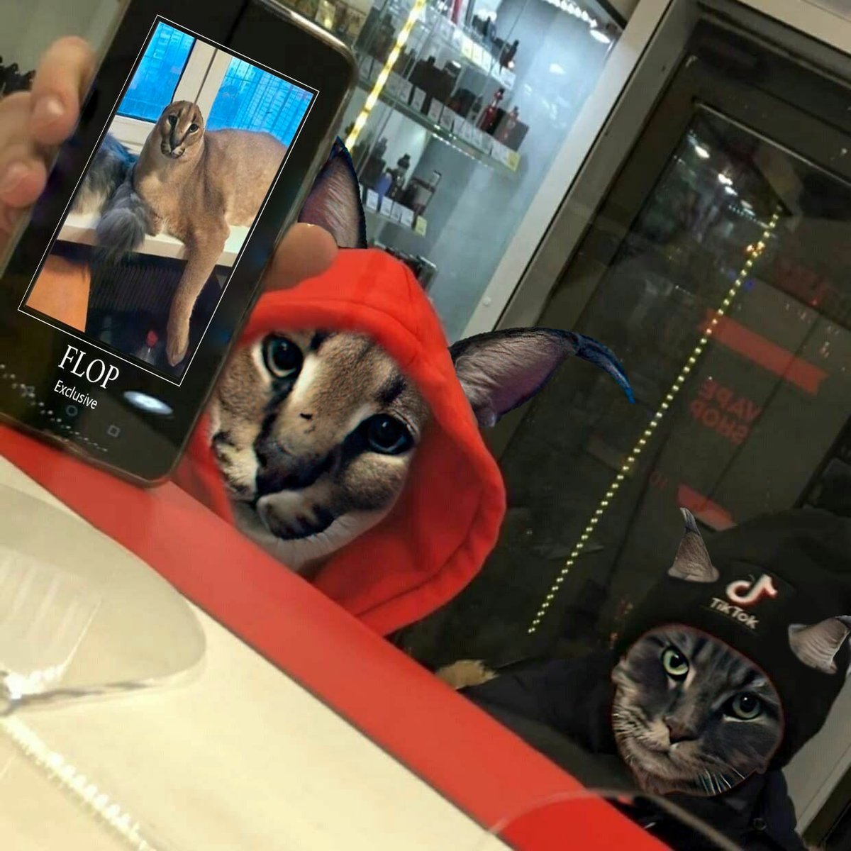 Каракал big floppy