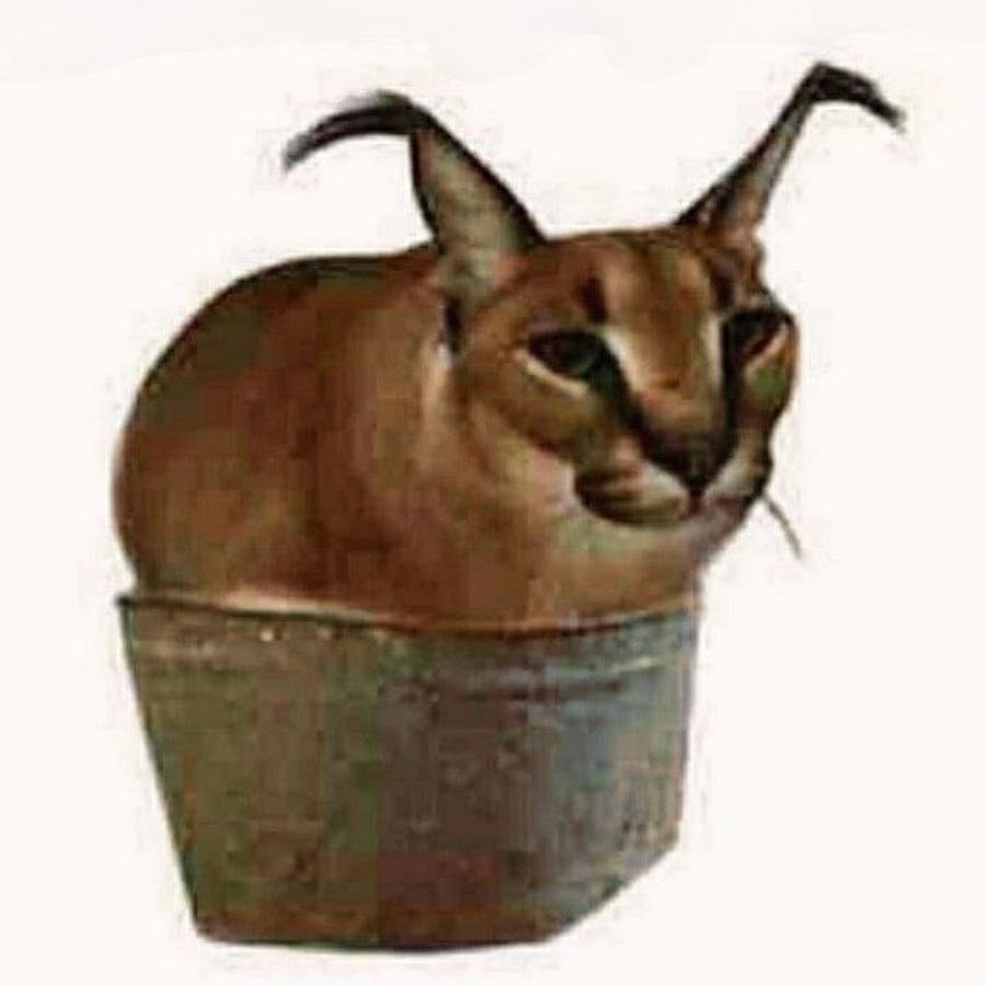 Шлепа в костюме кот