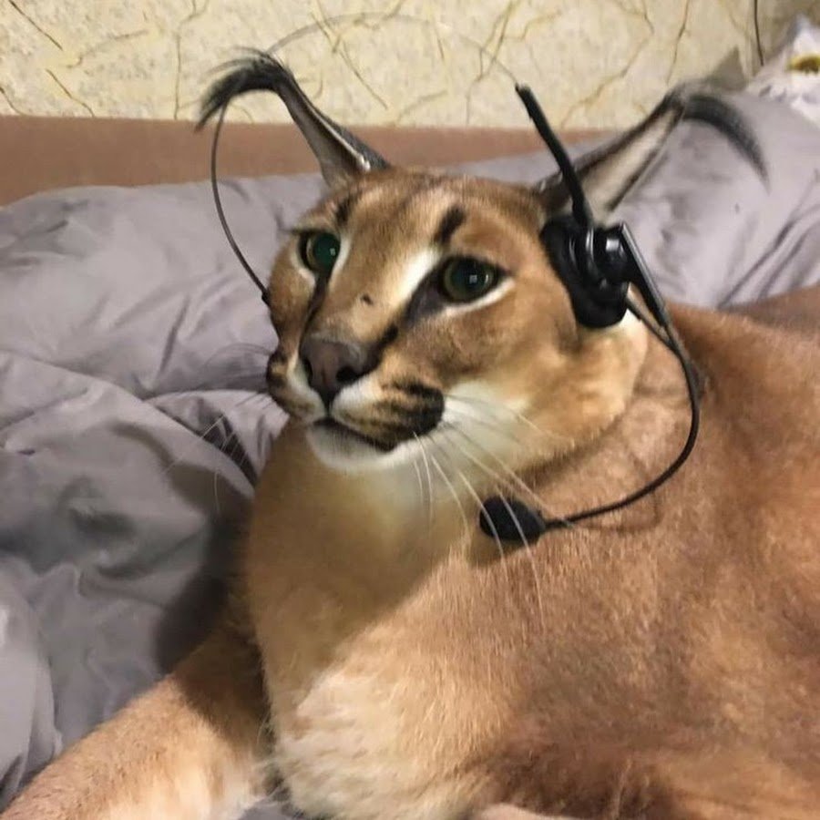 Забивные парни на аву