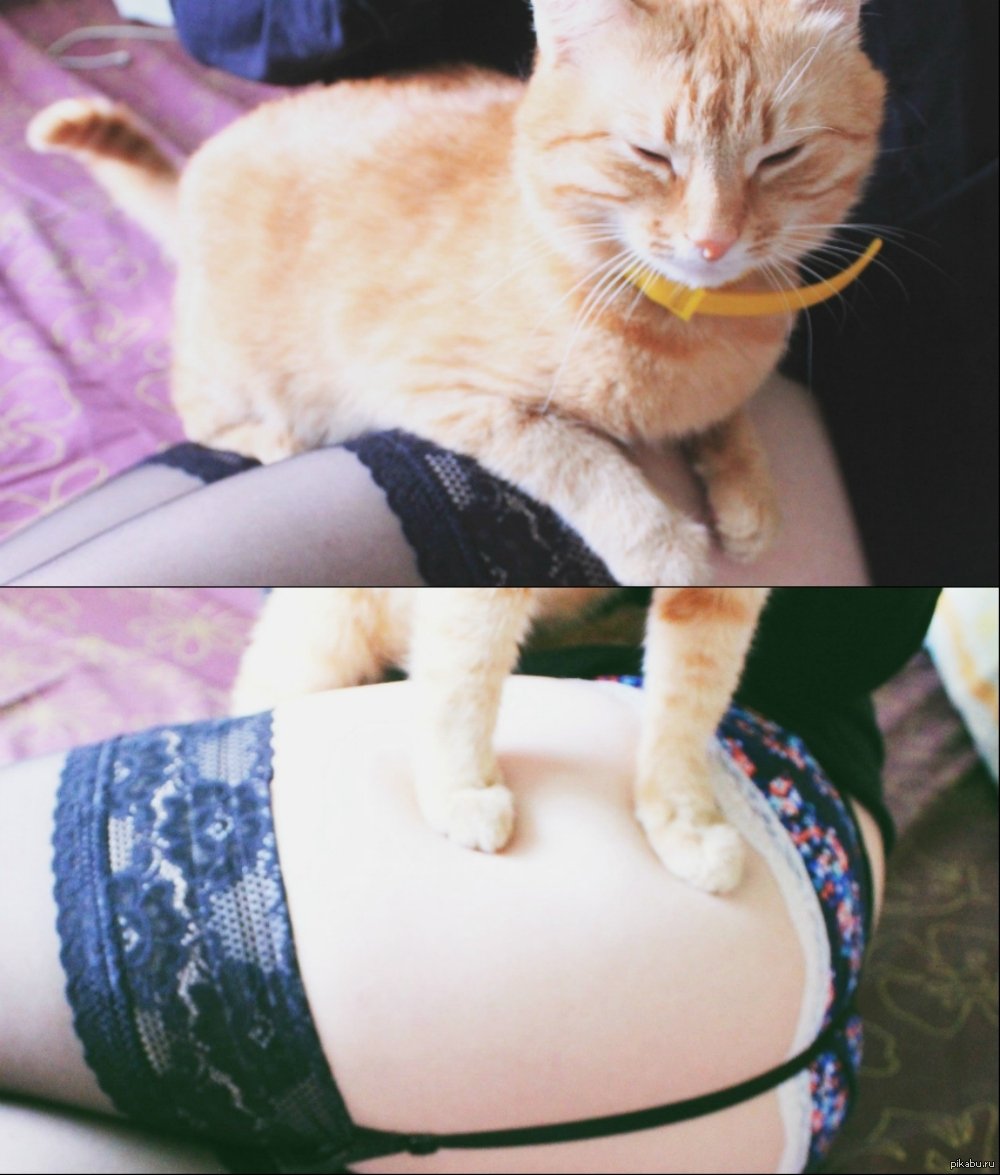 Девушка шлепает девушку