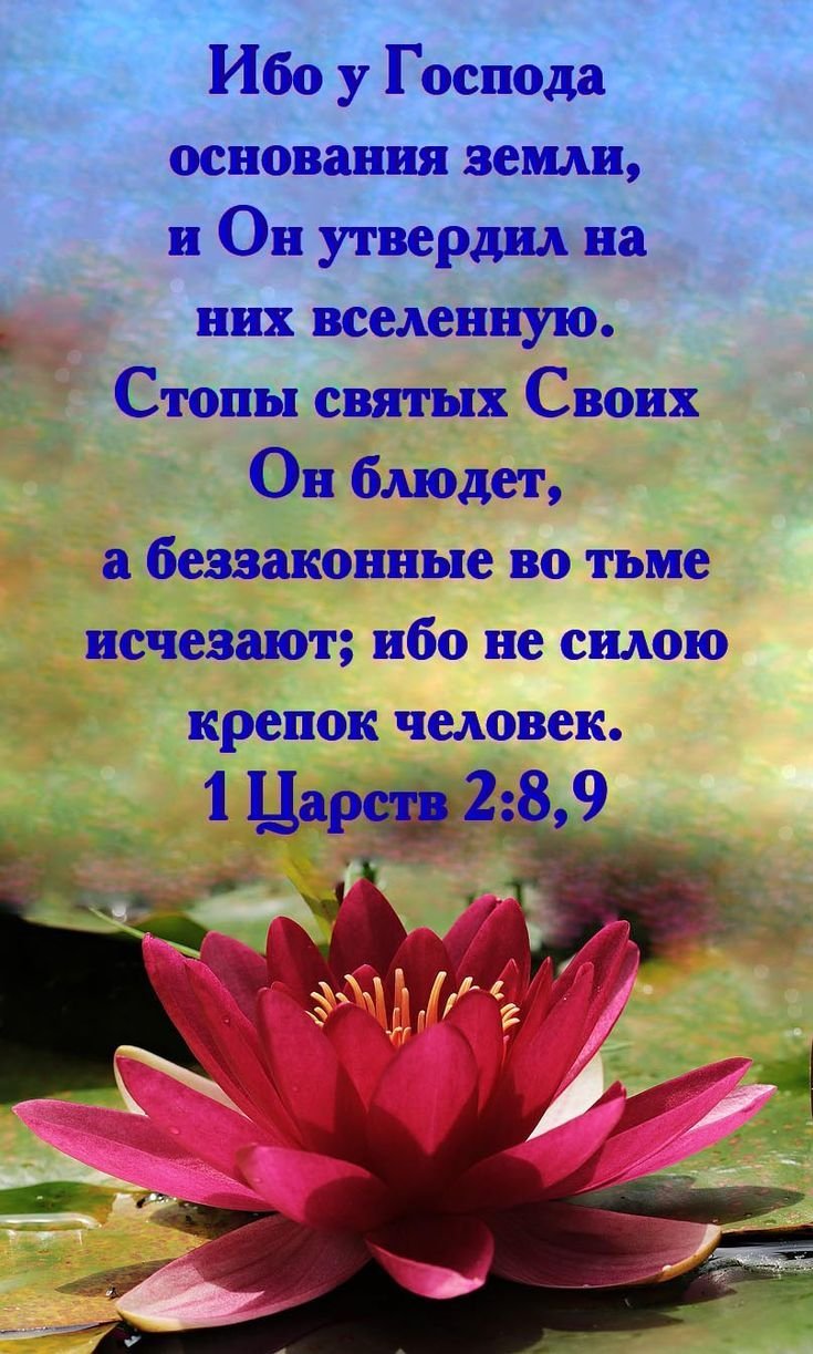 Открытки со стихами из Библии