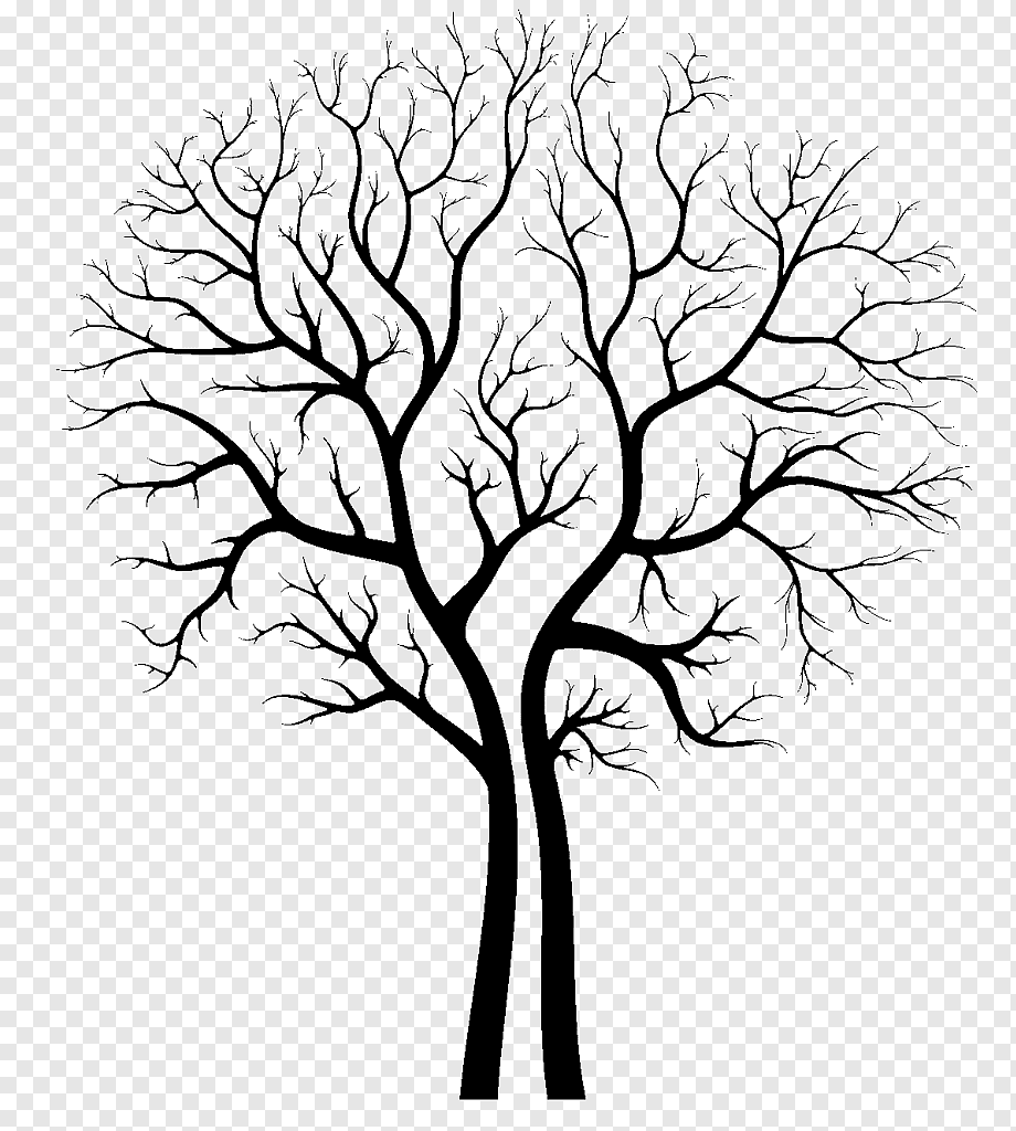 Ствол березы на окно