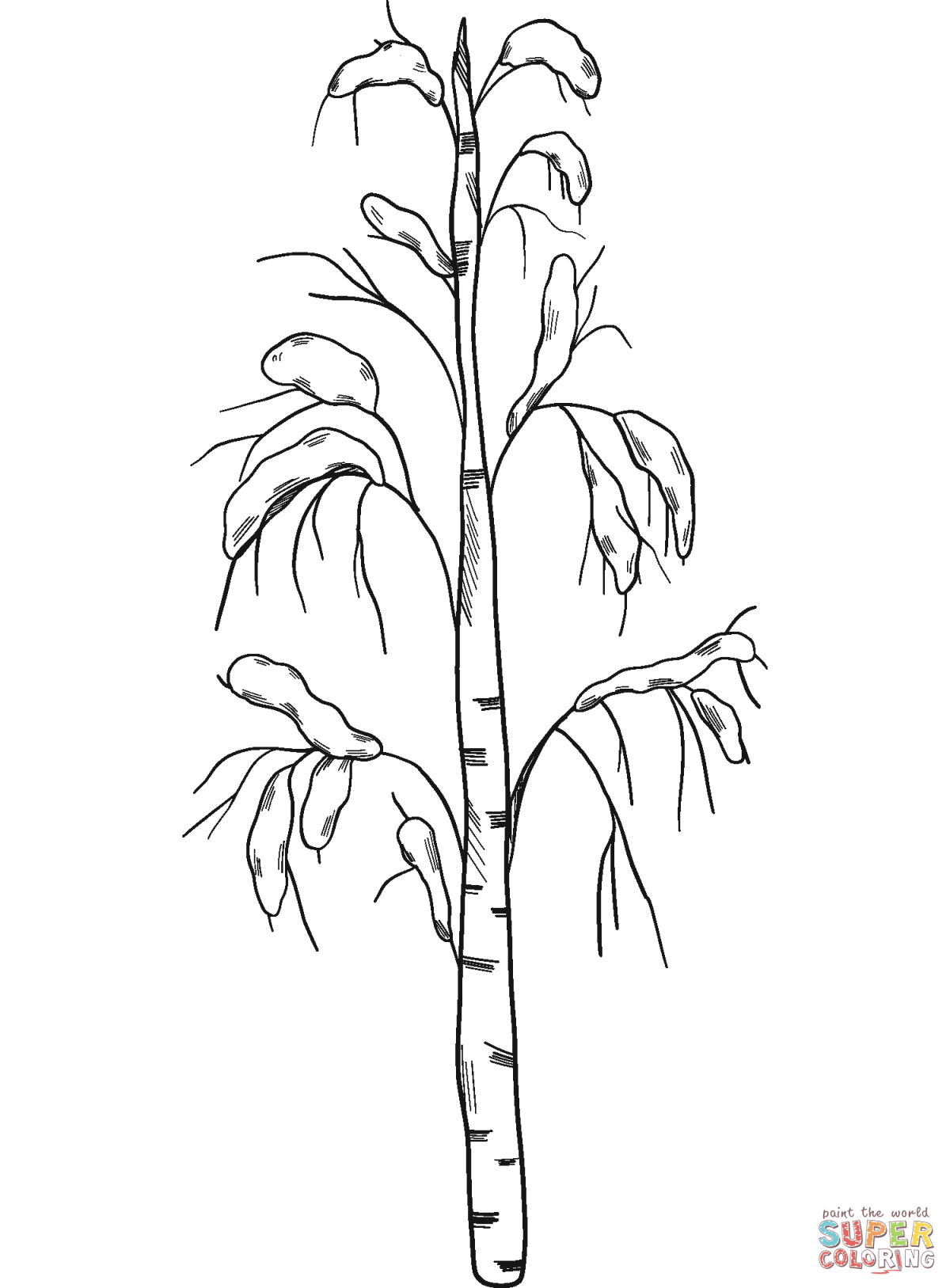 Раскраска ствол дерева без листьев для детей