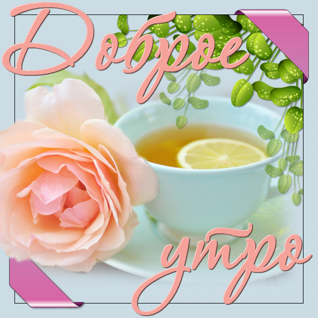 Сказочного нежного утра