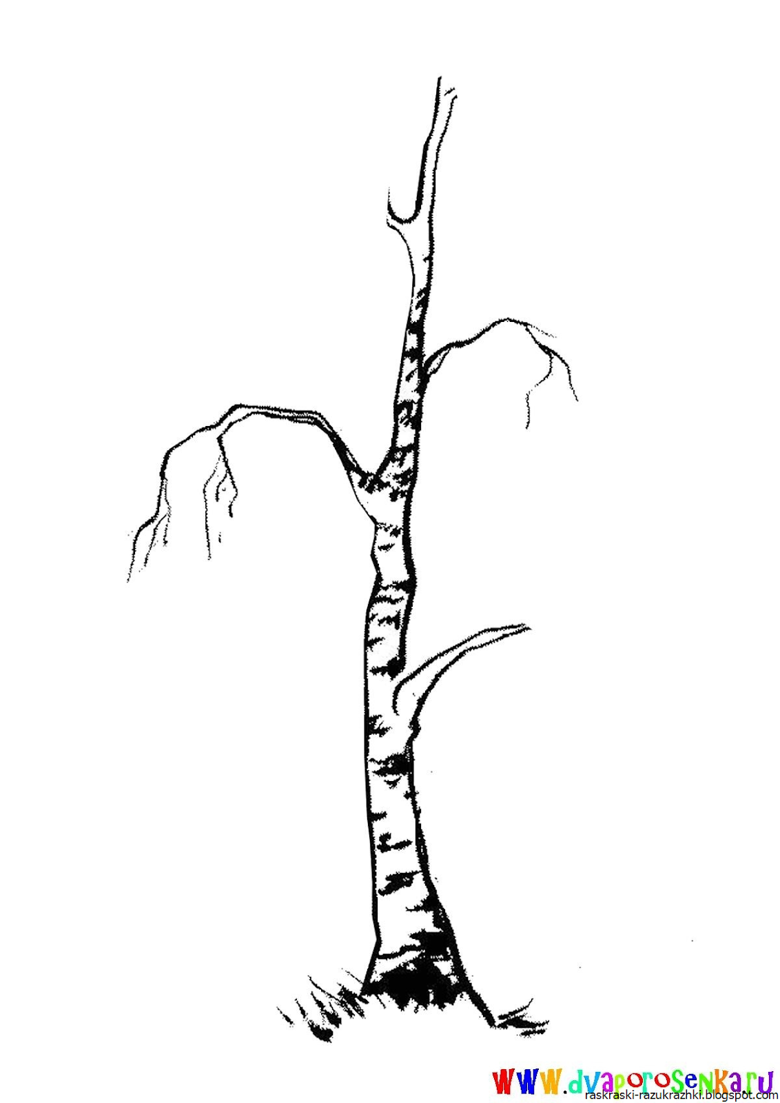 Дерево без листьев