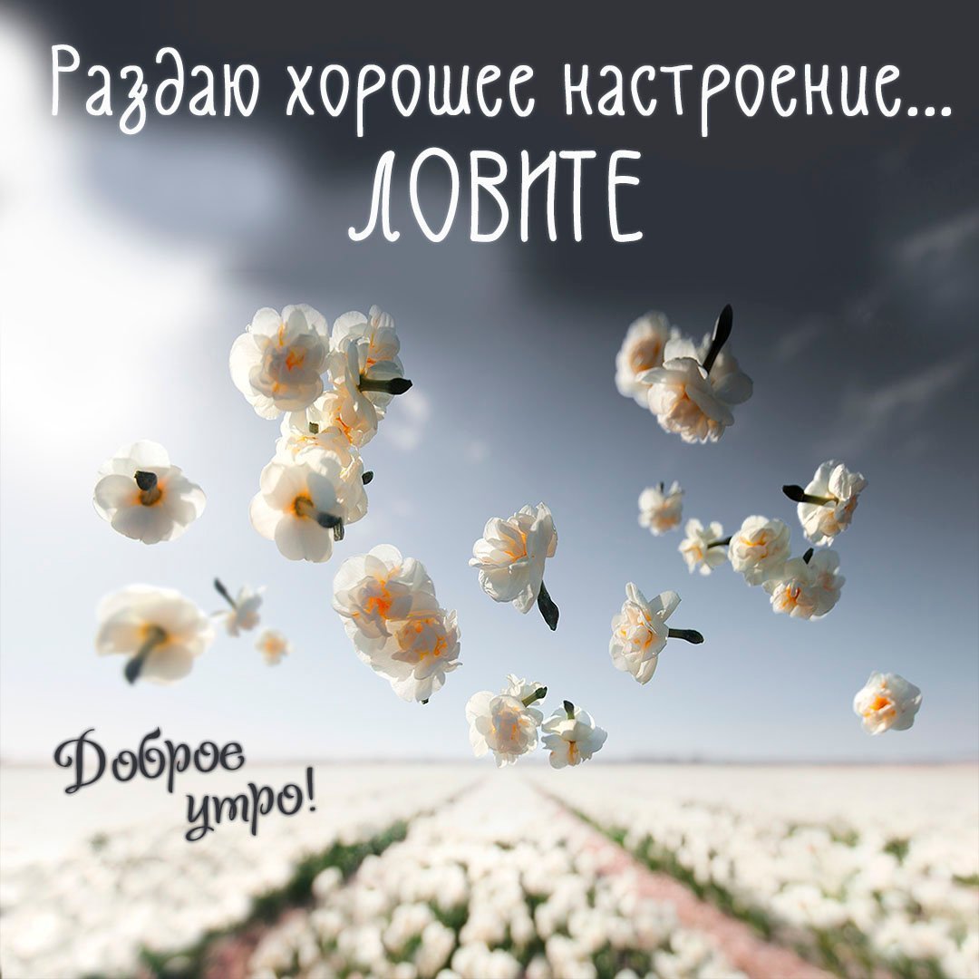 Открытки спокойной ночи прикольные