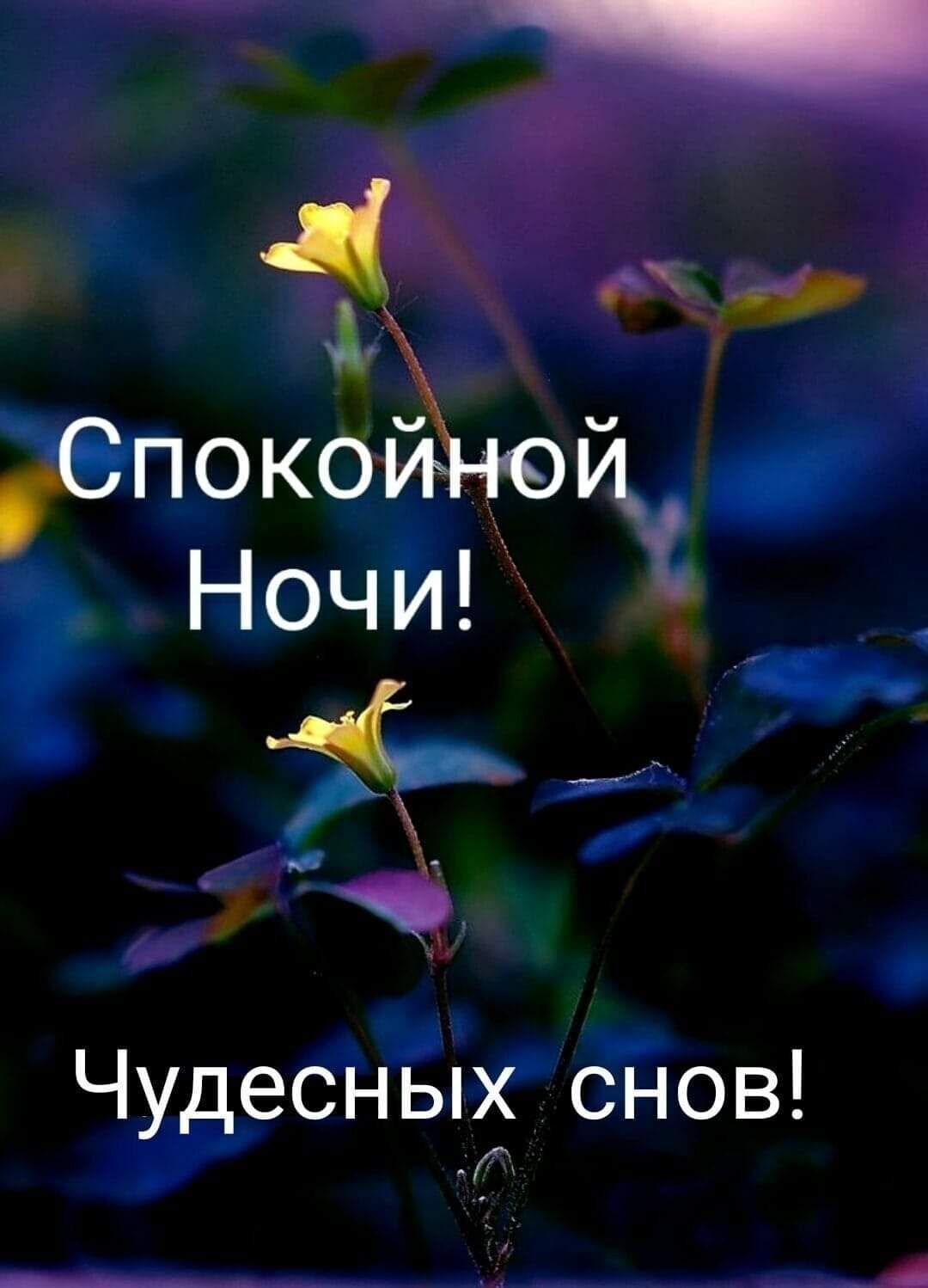 Добрых и сказочных снов