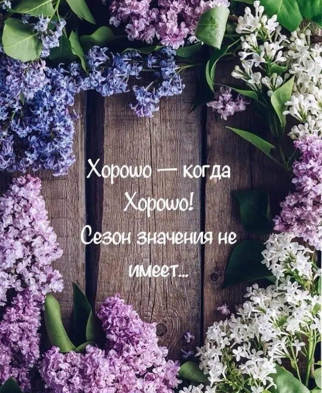 Стильные открытки с добрым вечером