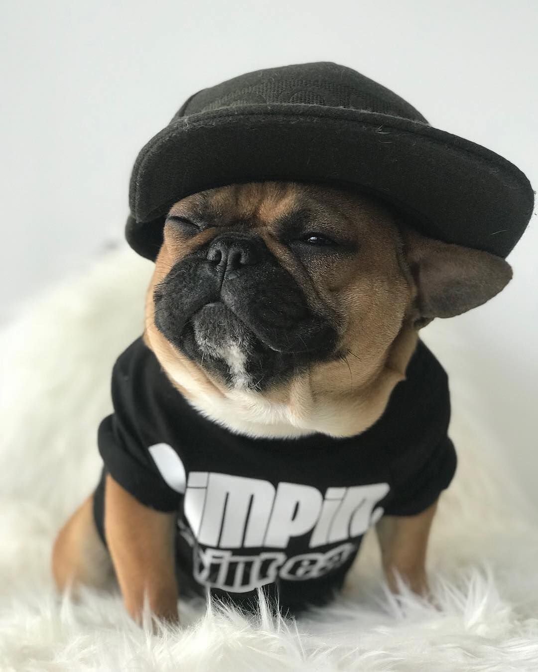 Крутой бульдог