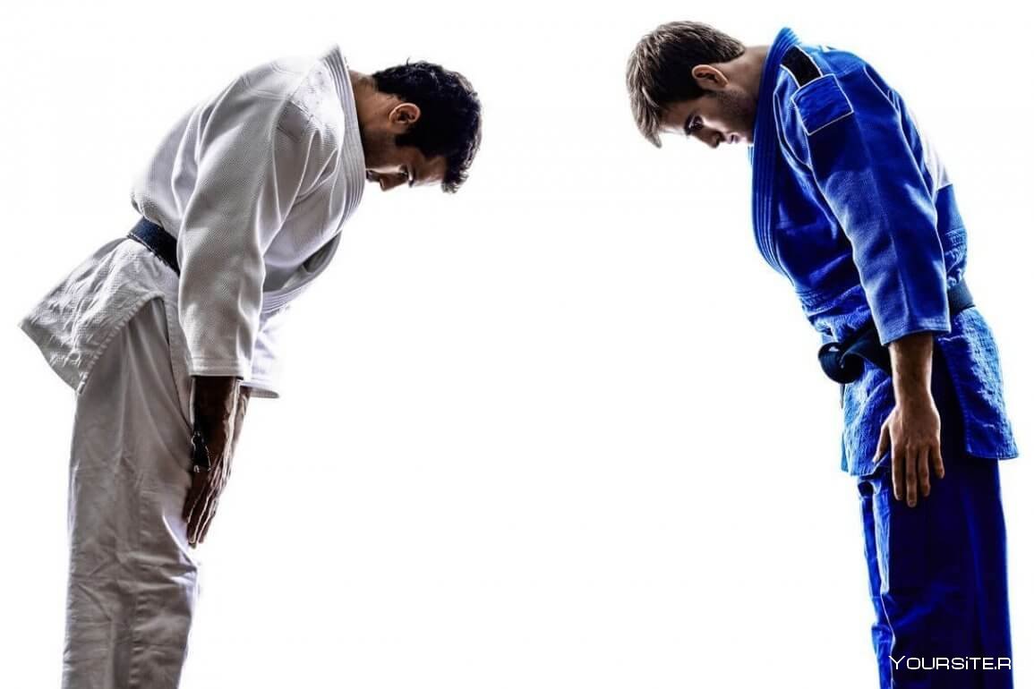 Дзюдоисты кланяются