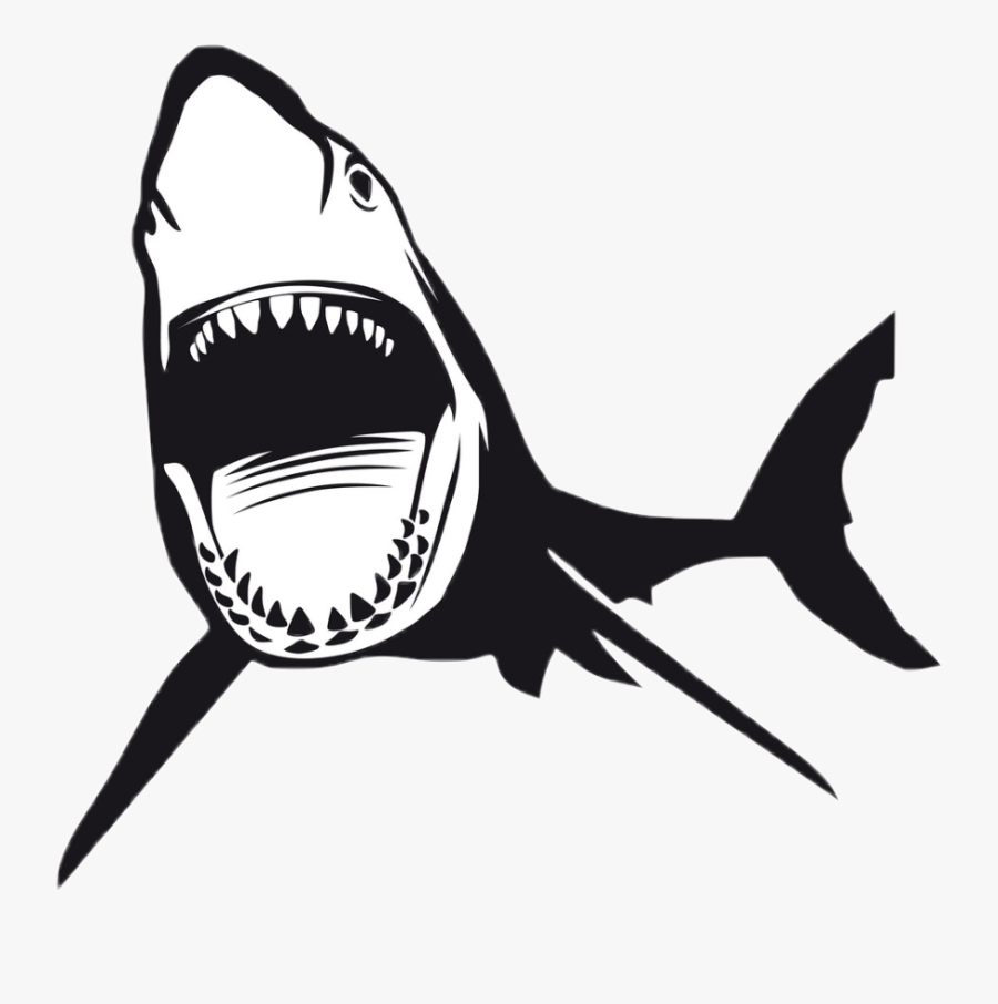 Акула гонится за рыбой