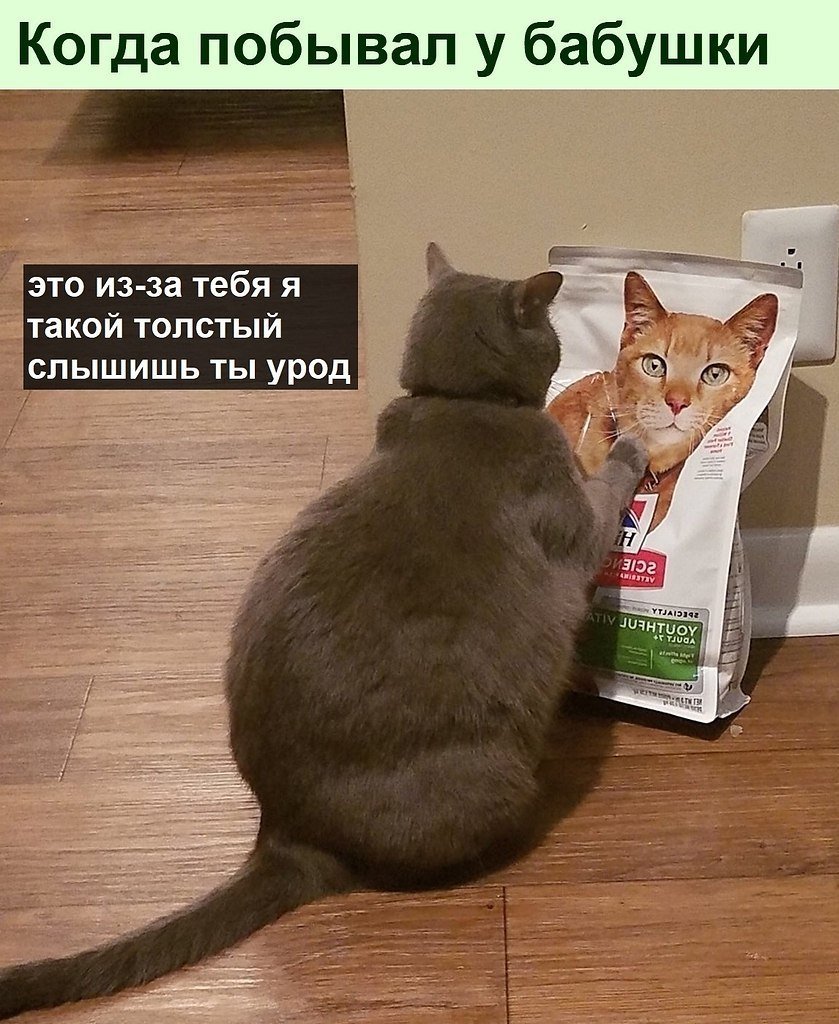 Мемы 2022 с надписями