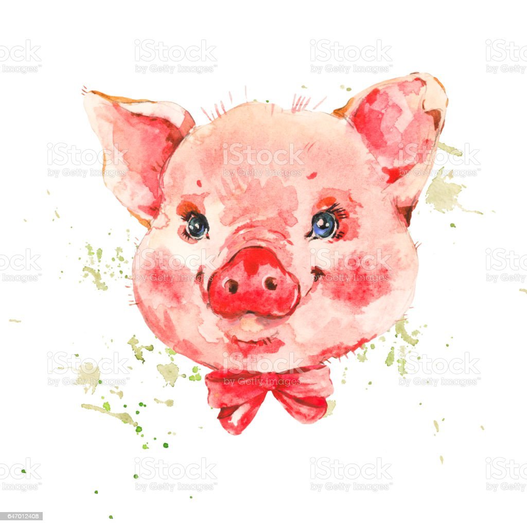 Розовый поросенок