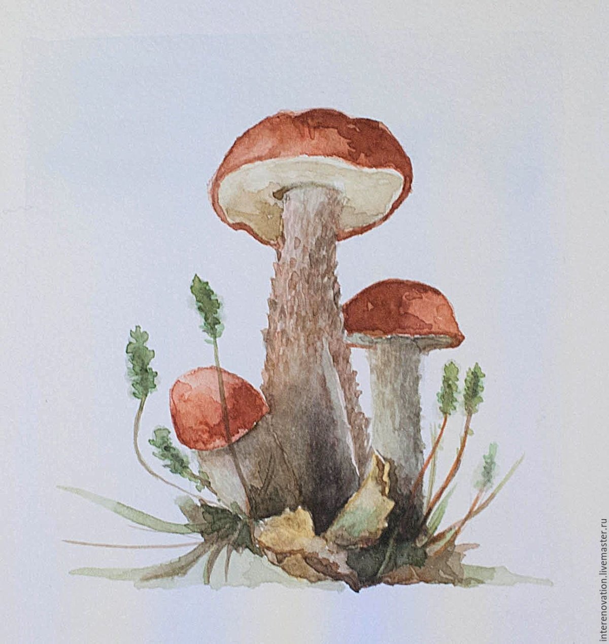 Александр Вязьменский подосиновики