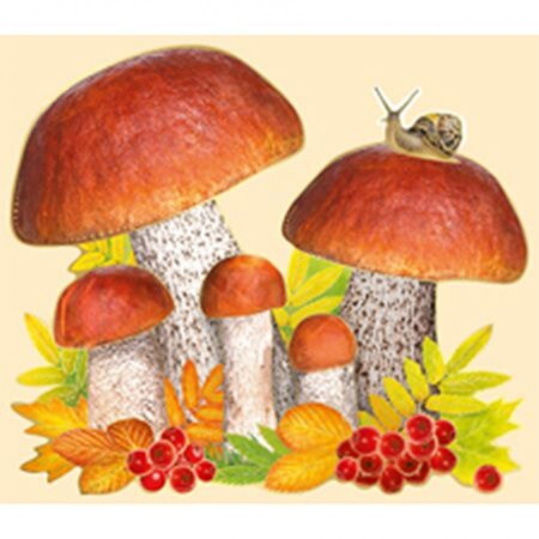 Подберезовик Ботаническая иллюстрация