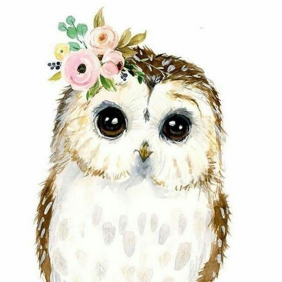 Сова акварелью