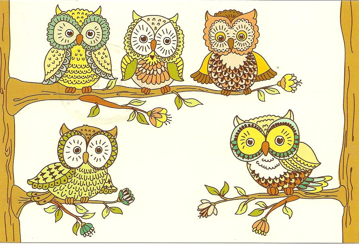 Сова на ветке рисунок