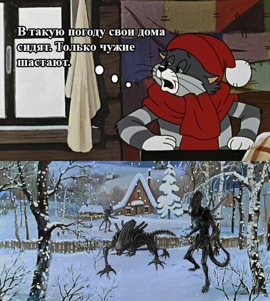 Неправильно ты дядя Федор живешь