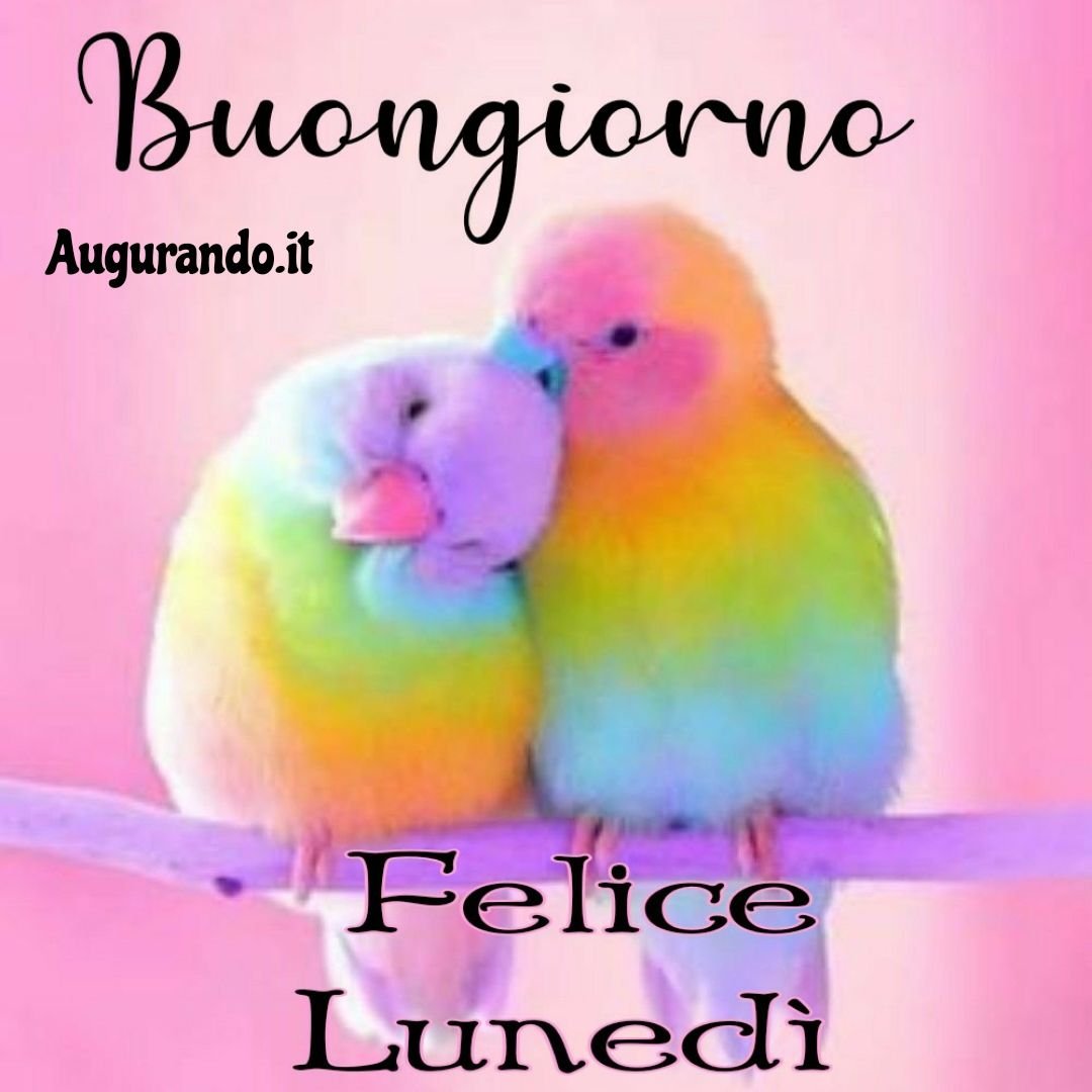 Доброе утро моя семья