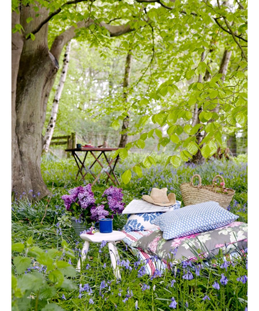 Летнее утро в саду