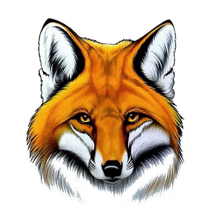 Мордочка лисички