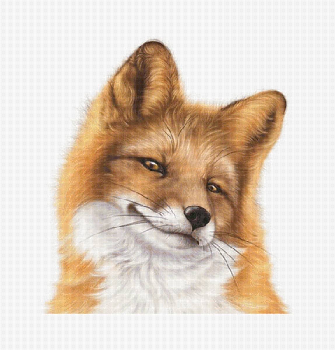 Лиса рисунок