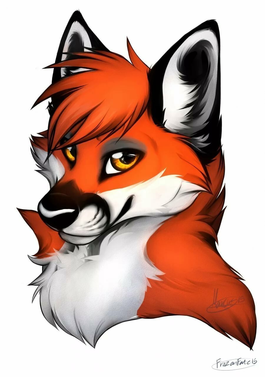 Голова лисы