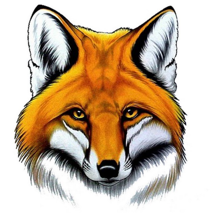 Морда лисы арт