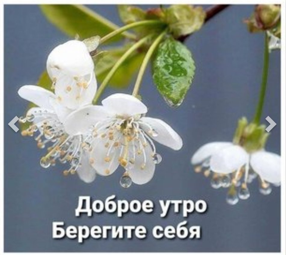 Доброе утро береги себя