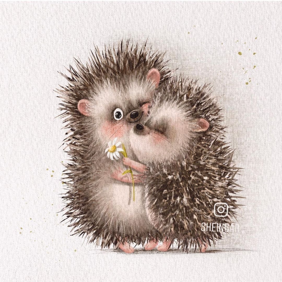 Обнимает ежа