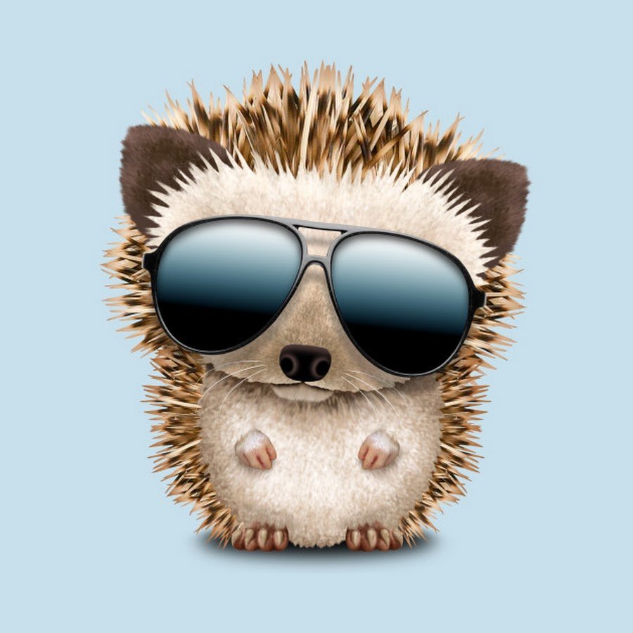 Ежик в очках арт
