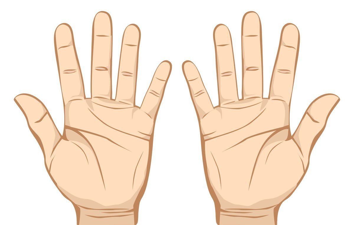 Ладонь рисунок