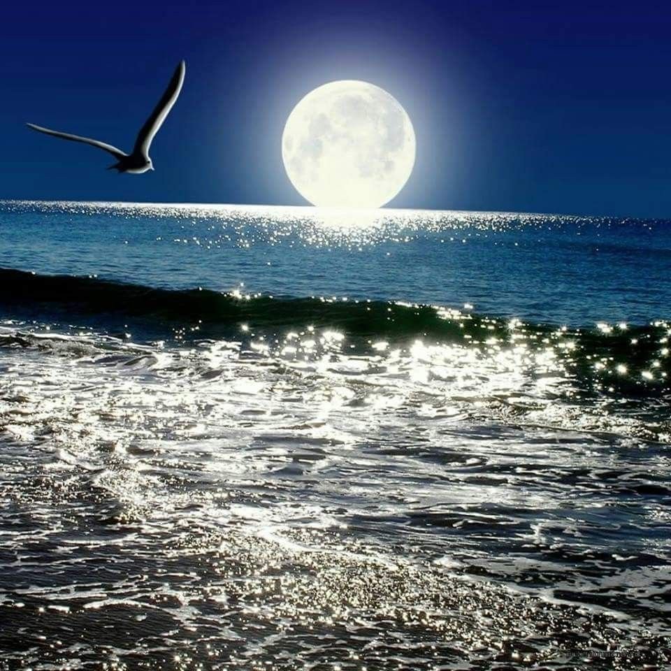 Умиротворение ночь