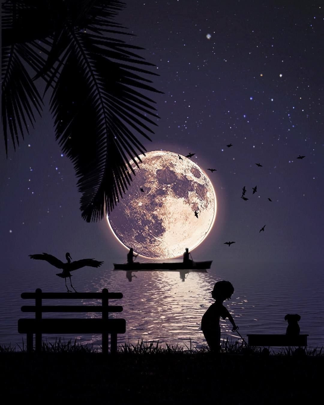 Спокойной ночи звезды и Луна